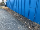 image1.jpeg