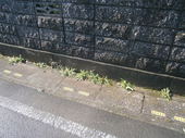 P4180001.jpg