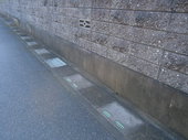 P4180005.jpg