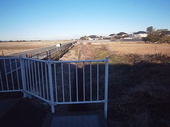 P1090071.jpg