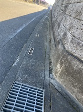 1739863428648.jpg