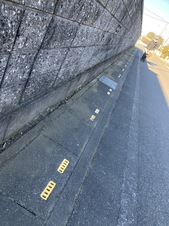1739863428712.jpg