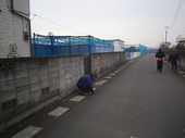 P3100016.jpg