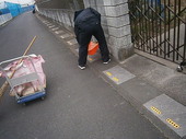 P3100019.jpg