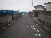 P3100021.jpg
