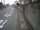 P3100023.jpg