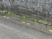 20251015100039.jpg